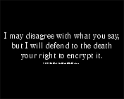 I may disagree with what you say, but I will defend to the death your right to encrypt it.